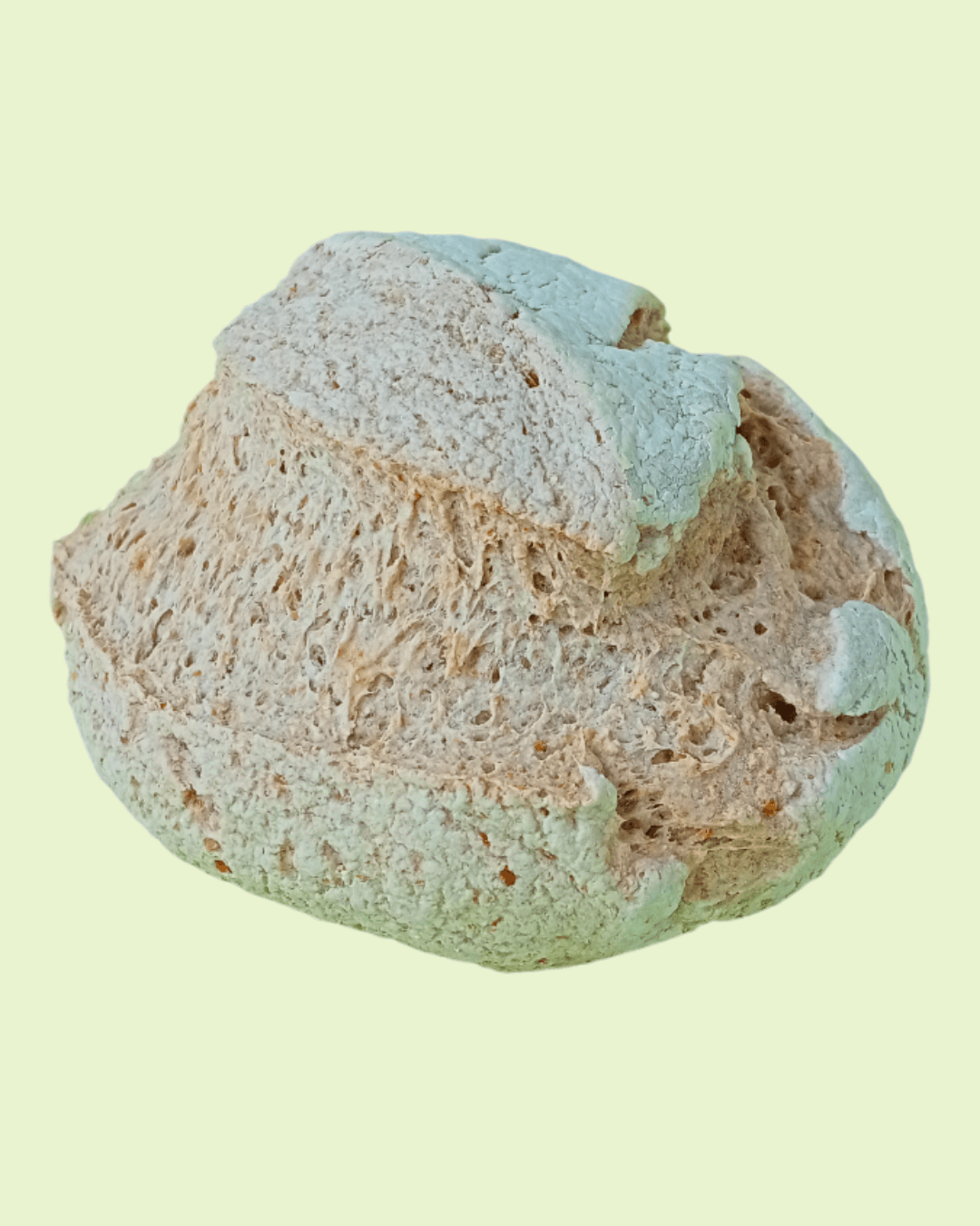 Pão de Fermentação Natural